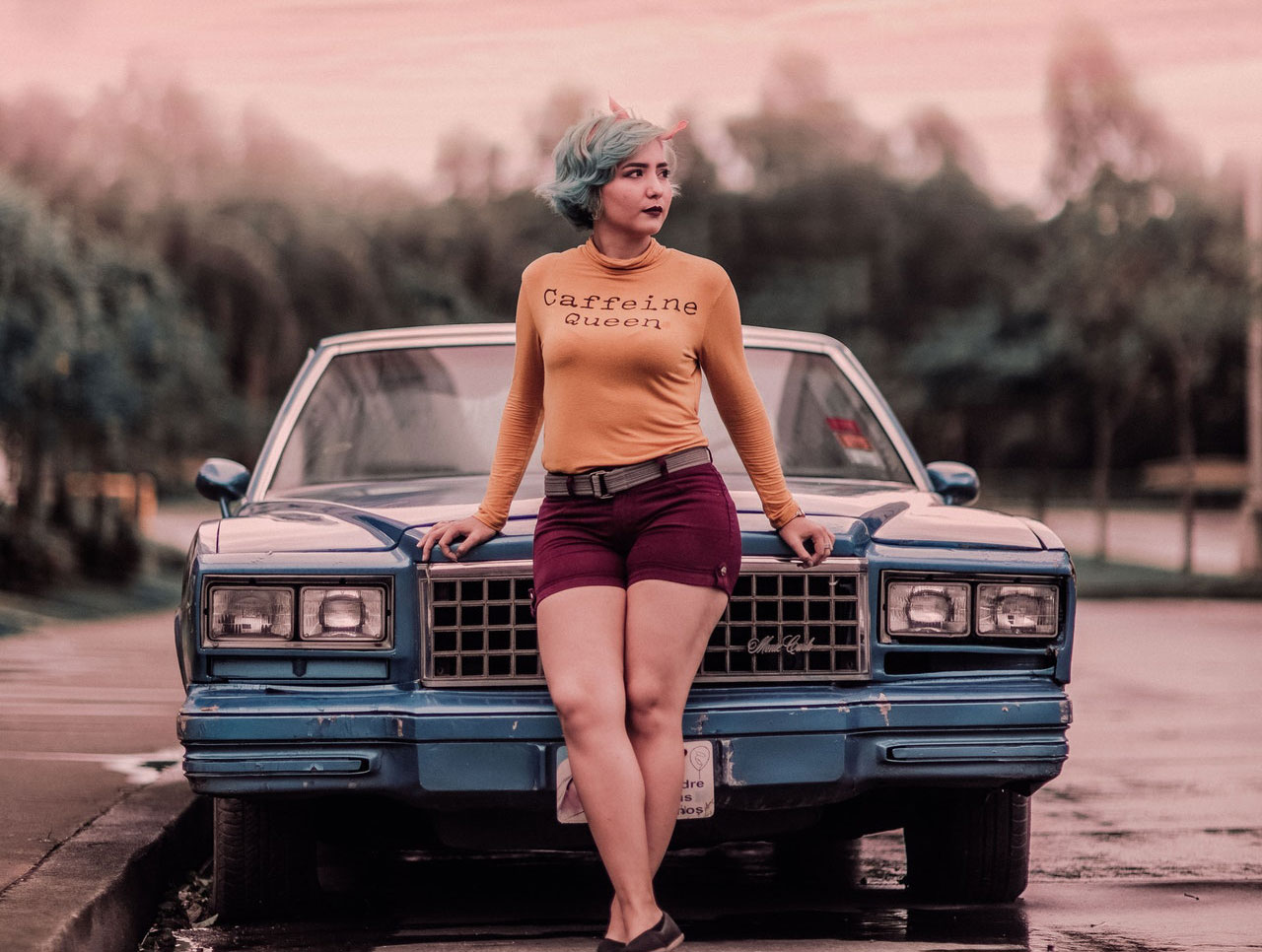 Description of Image 4